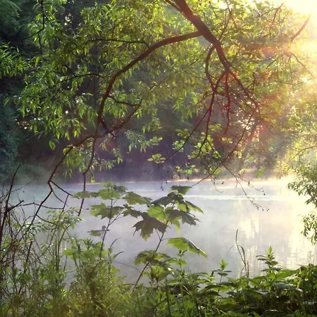 Zur Friedenseiche Hotel *