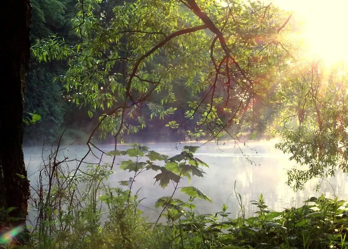 Zur Friedenseiche Hotel *